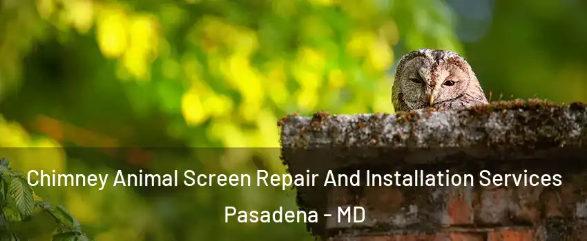 Chimney Animal Screen Repair And Installation Services Pasadena - MD