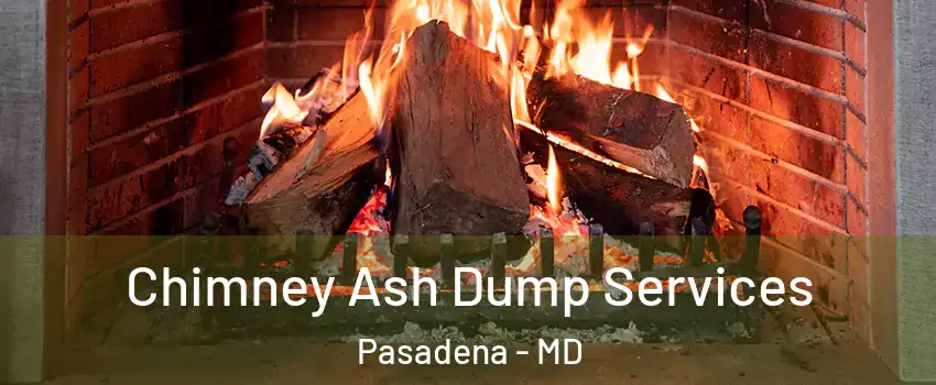  Chimney Ash Dump Services Pasadena - MD