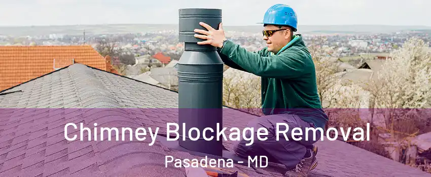  Chimney Blockage Removal Pasadena - MD
