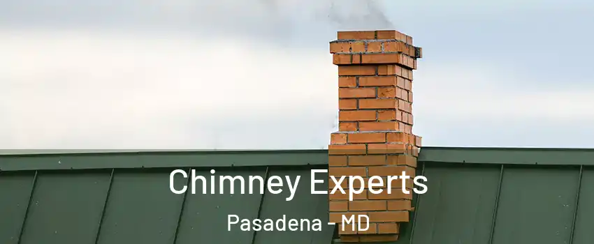  Chimney Experts Pasadena - MD