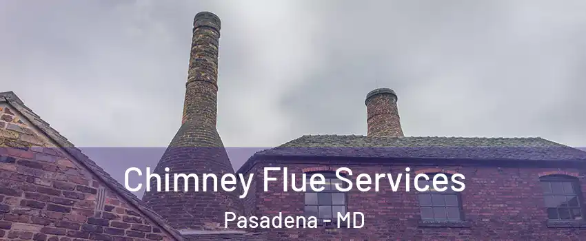  Chimney Flue Services Pasadena - MD