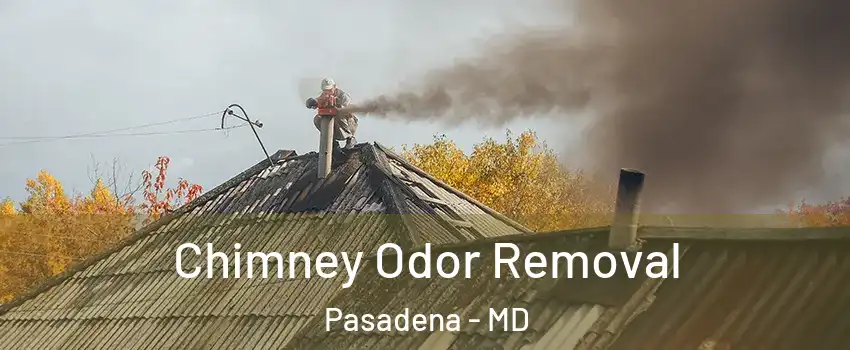  Chimney Odor Removal Pasadena - MD