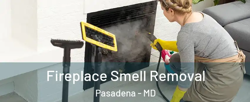  Fireplace Smell Removal Pasadena - MD