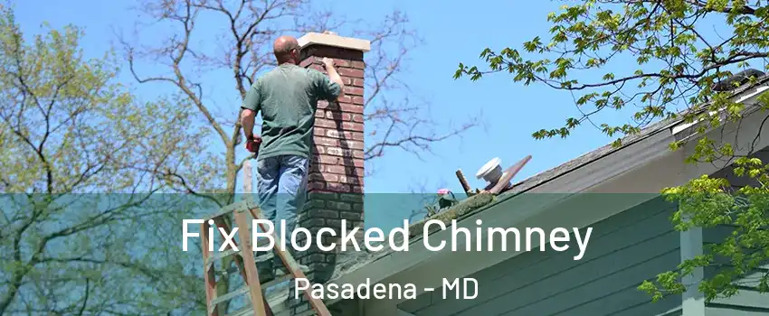  Fix Blocked Chimney Pasadena - MD