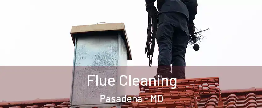  Flue Cleaning Pasadena - MD