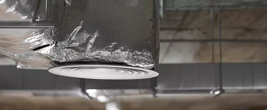 Signs of Dust Accumulation in Vents in Pasadena, MD
