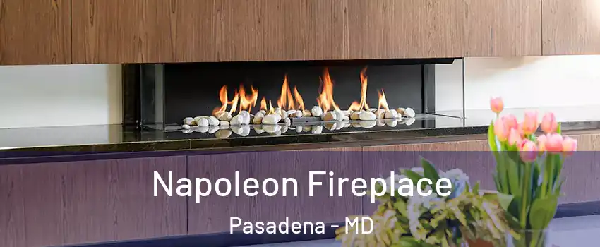  Napoleon Fireplace Pasadena - MD