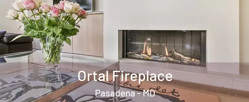  Ortal Fireplace Pasadena - MD